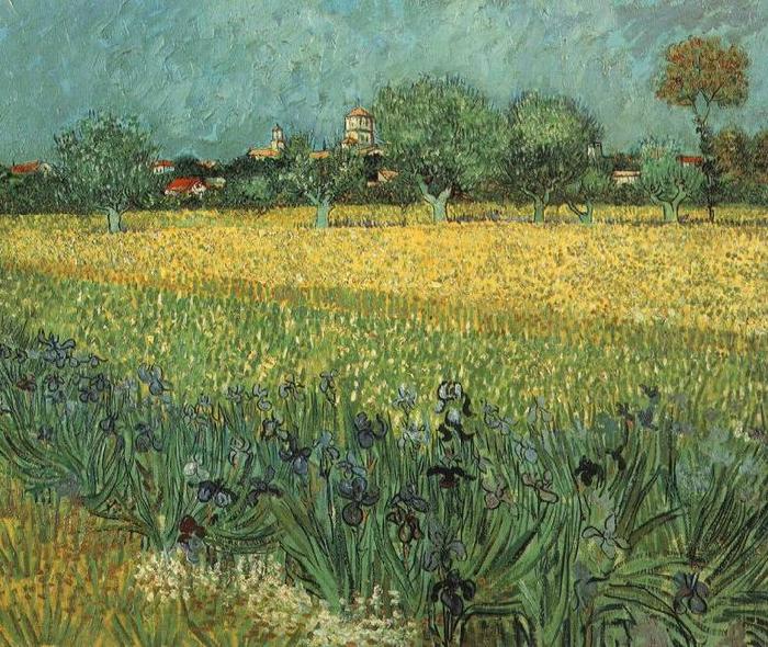 Vincent Van Gogh View of Arles with Irises in the Foreground